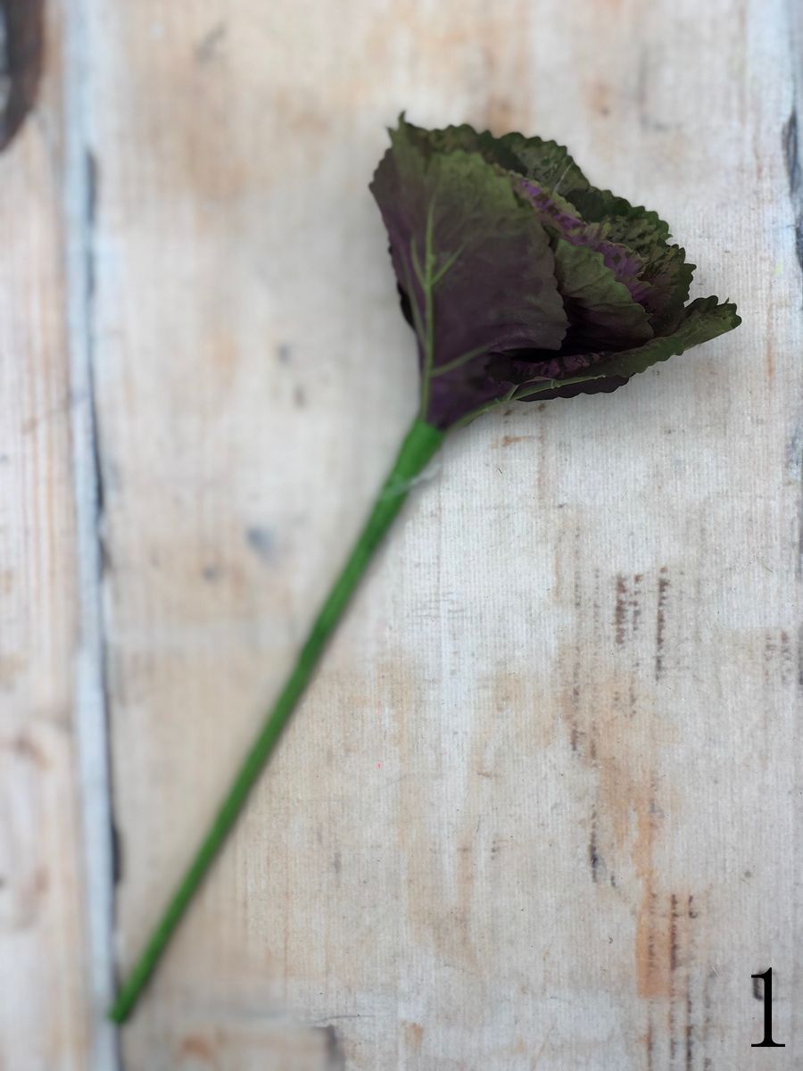 Капуста R801  Интернет-магазин Feron Flower 