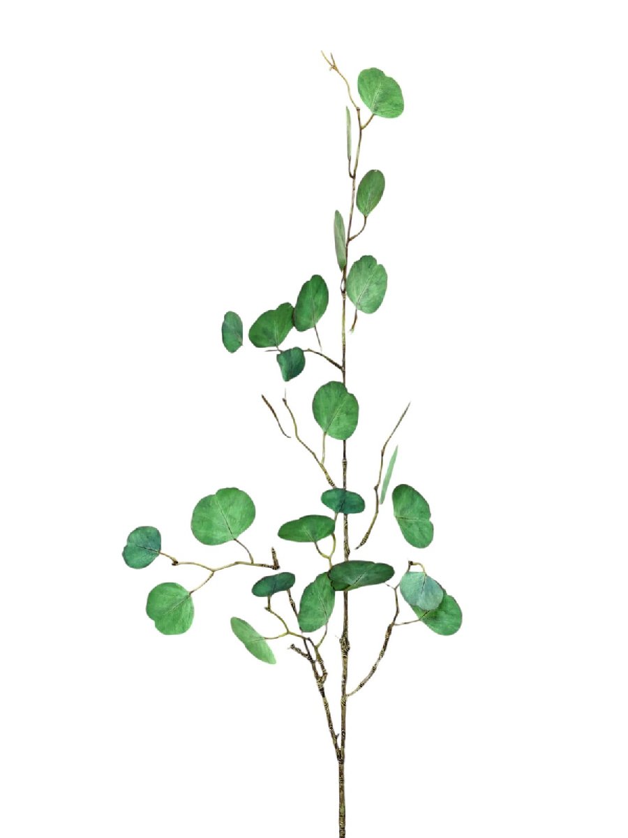 Эвкалипт FL-QH057  Интернет-магазин Feron Flower 