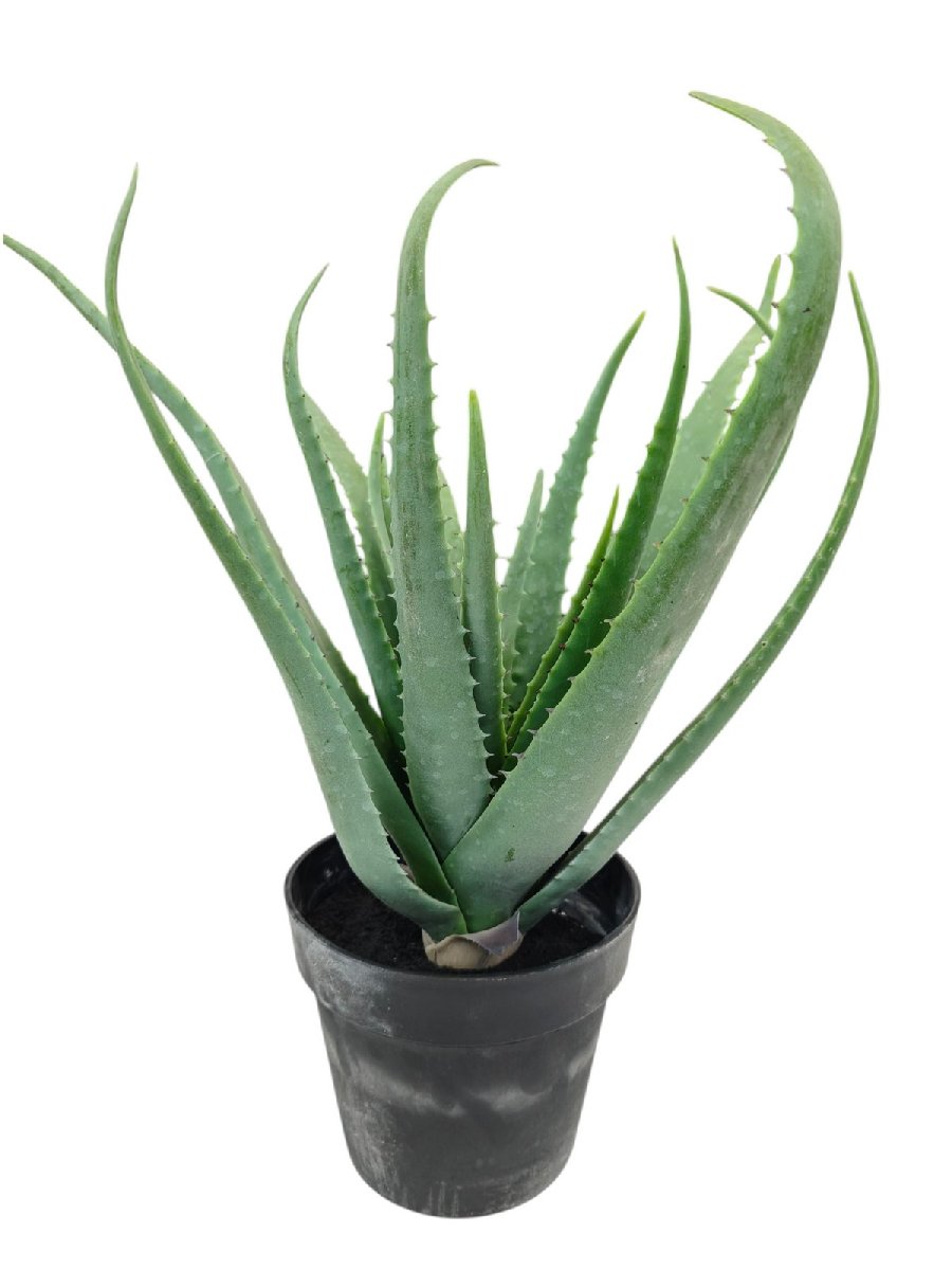Алое в кашпо 9144-26  Интернет-магазин Feron Flower 