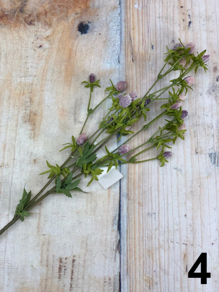 Филадендрон 3008  Интернет-магазин Feron Flower 