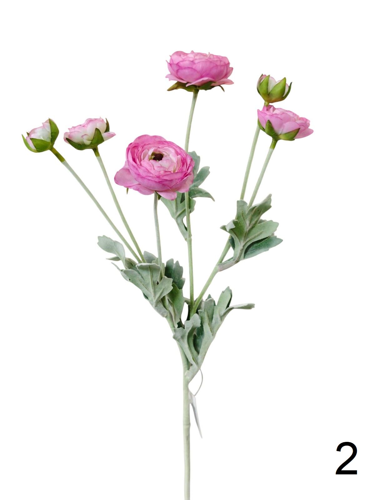 Рунункулус 9144-1330  Интернет-магазин Feron Flower 