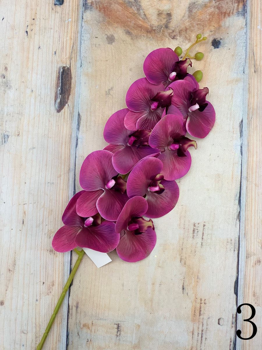 Орхидея AJ48131  Интернет-магазин Feron Flower 
