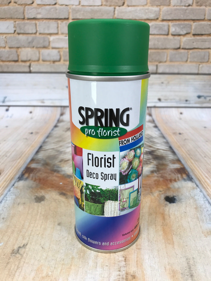 Краска 400ml 028 ярко-зеленая  Интернет-магазин Feron Flower 