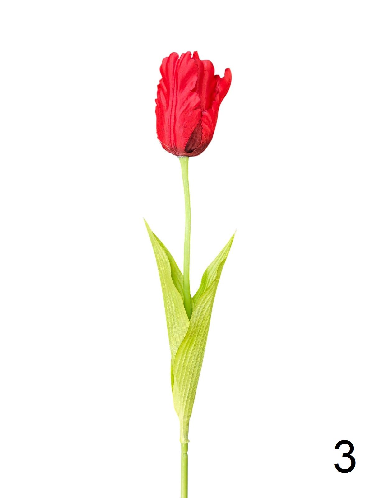 Тюльпан 131149  Интернет-магазин Feron Flower 