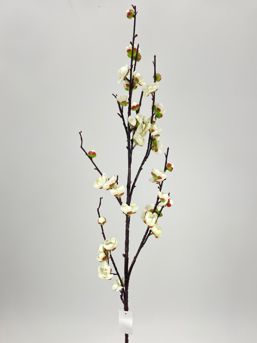 Яблонь FL-QH087  Интернет-магазин Feron Flower 