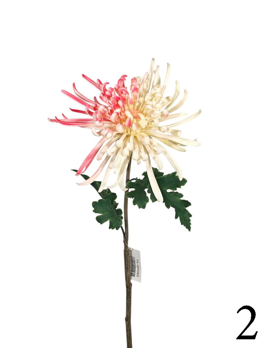 Хризантема FL-QH065  Интернет-магазин Feron Flower 