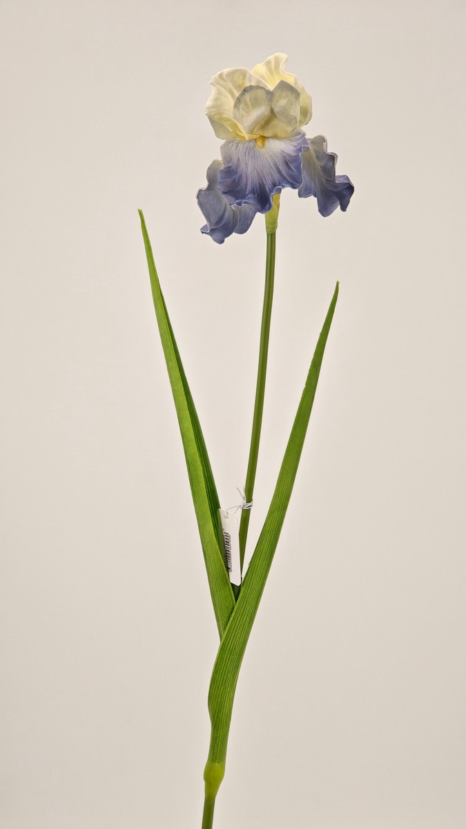 Ирис REN-209 сиреневый   Интернет-магазин Feron Flower 