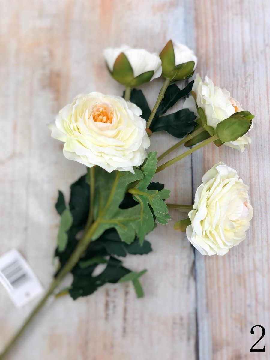 Ранункул CZ045  Интернет-магазин Feron Flower 