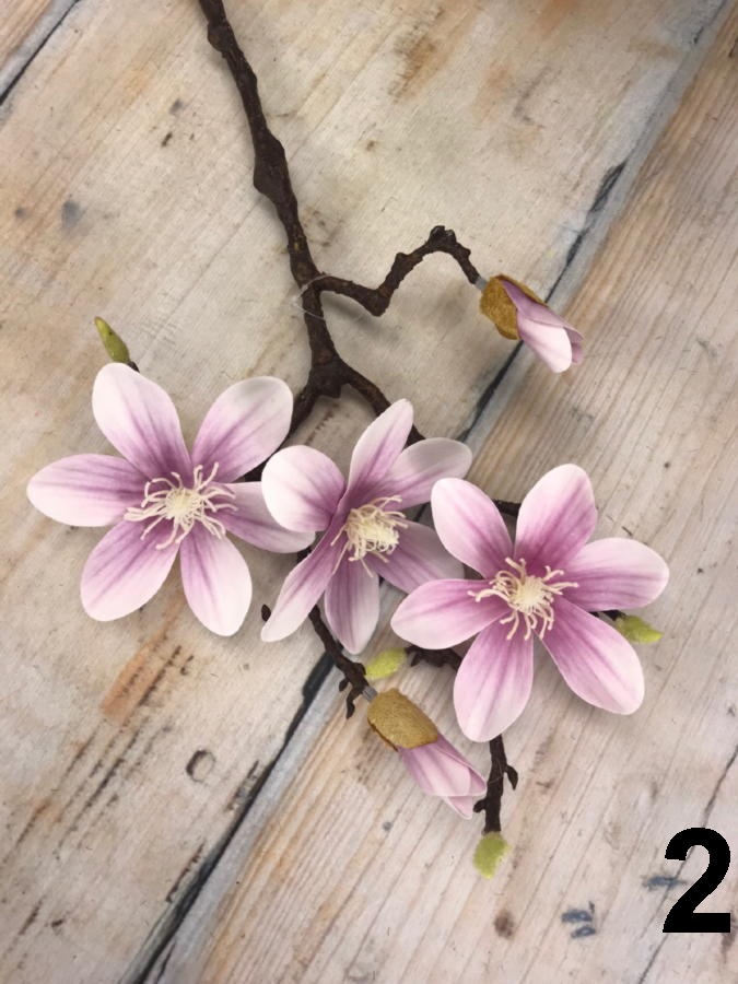 Магнолия GK914  Интернет-магазин Feron Flower 