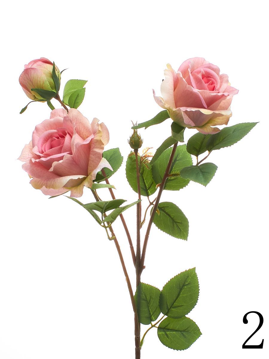 Роза HD9198  Интернет-магазин Feron Flower 