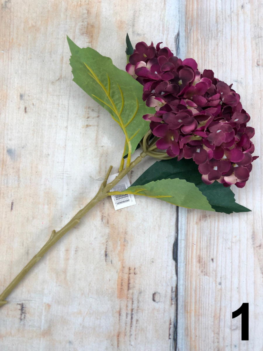 Гортензия CZ031  Интернет-магазин Feron Flower 