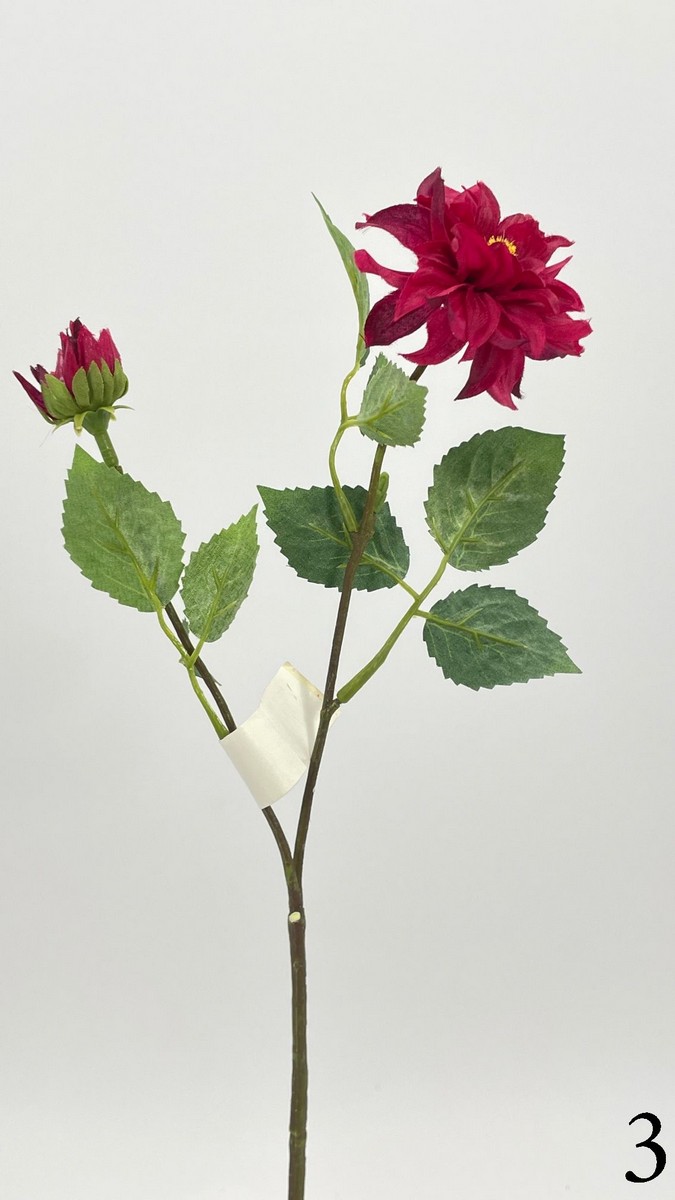 Далия 542345  Интернет-магазин Feron Flower 