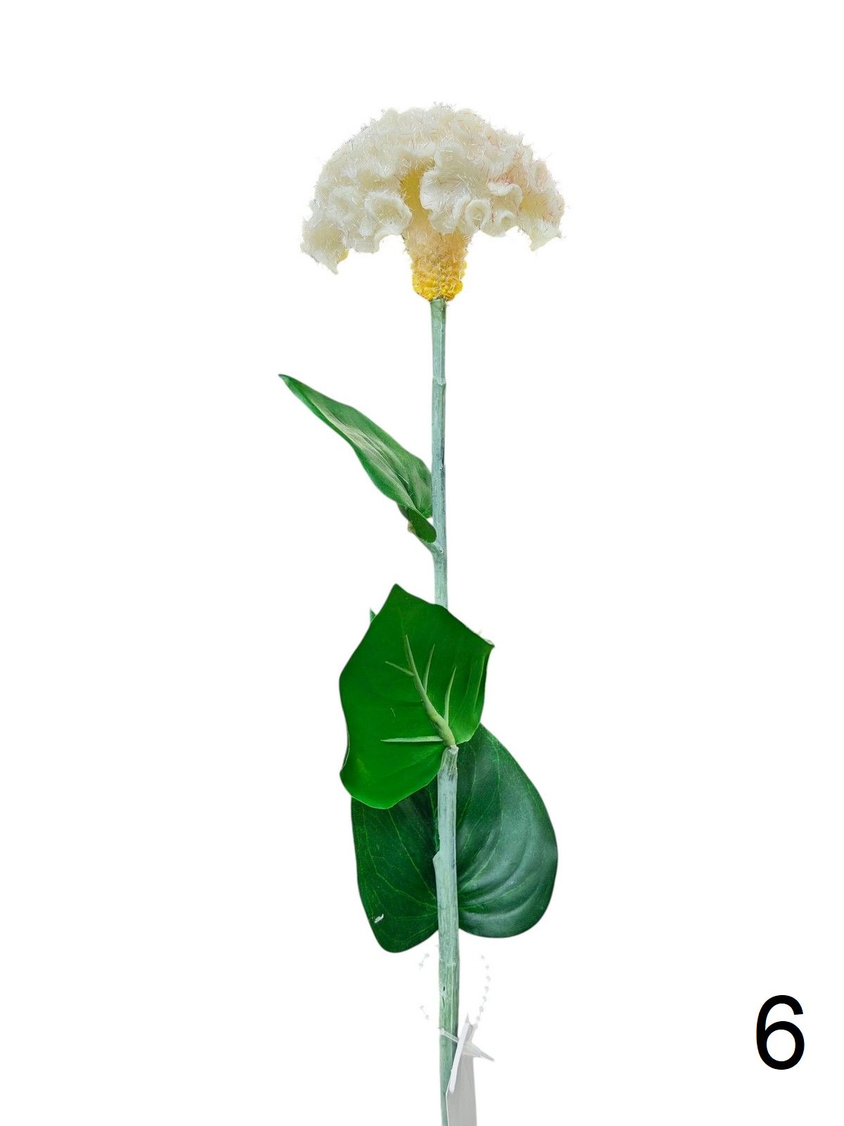 Целозия K03956  Интернет-магазин Feron Flower 