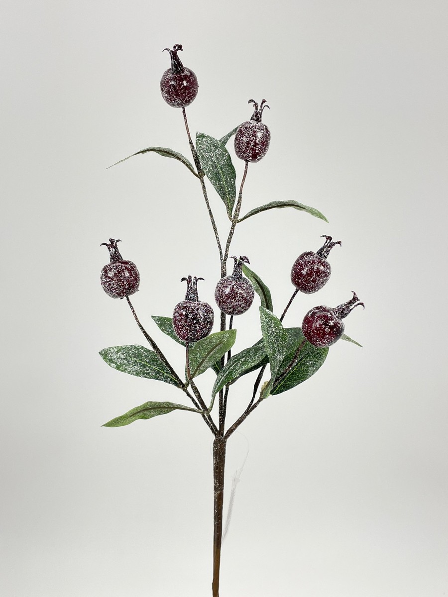 Шиповник HB-1712A-3X031  Интернет-магазин Feron Flower 