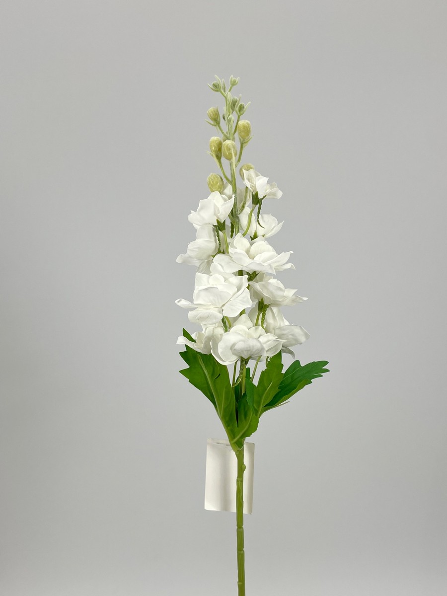 Дельфиниум PIO-121  Интернет-магазин Feron Flower 