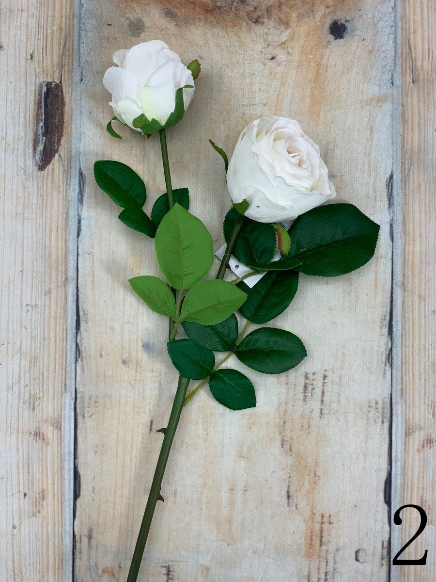 Роза GK329  Интернет-магазин Feron Flower 