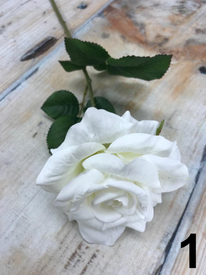 Роза GK211  Интернет-магазин Feron Flower 