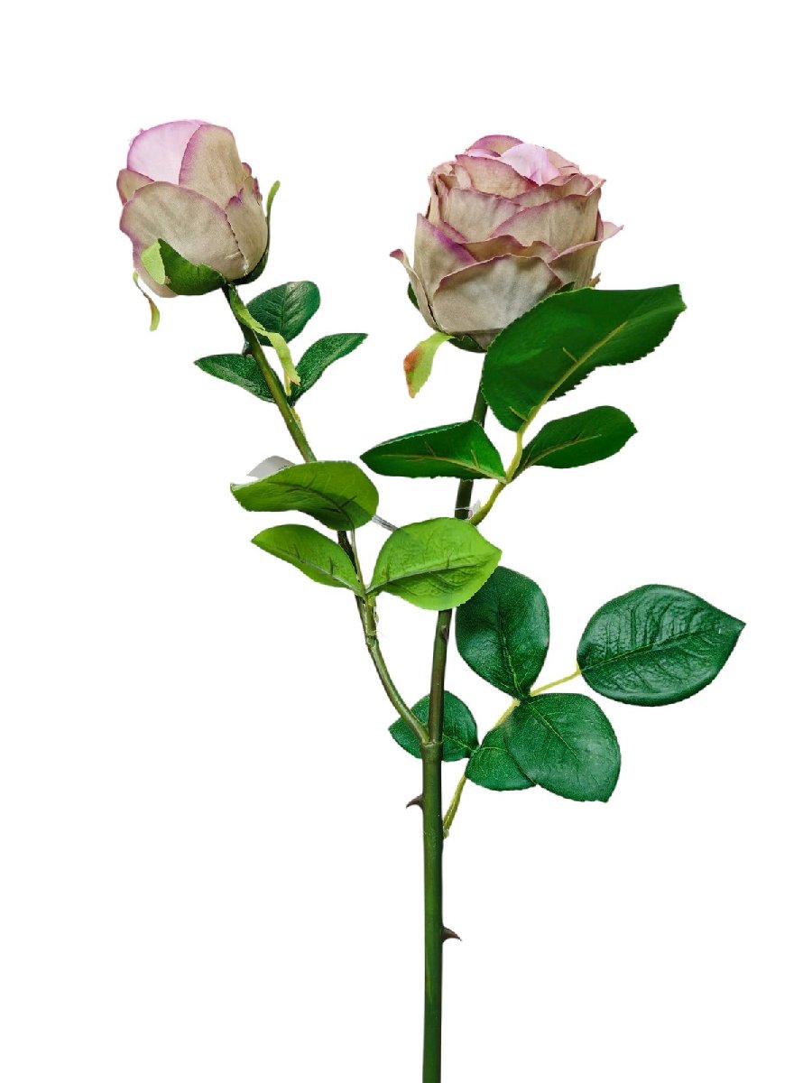 Роза GK329  Интернет-магазин Feron Flower 