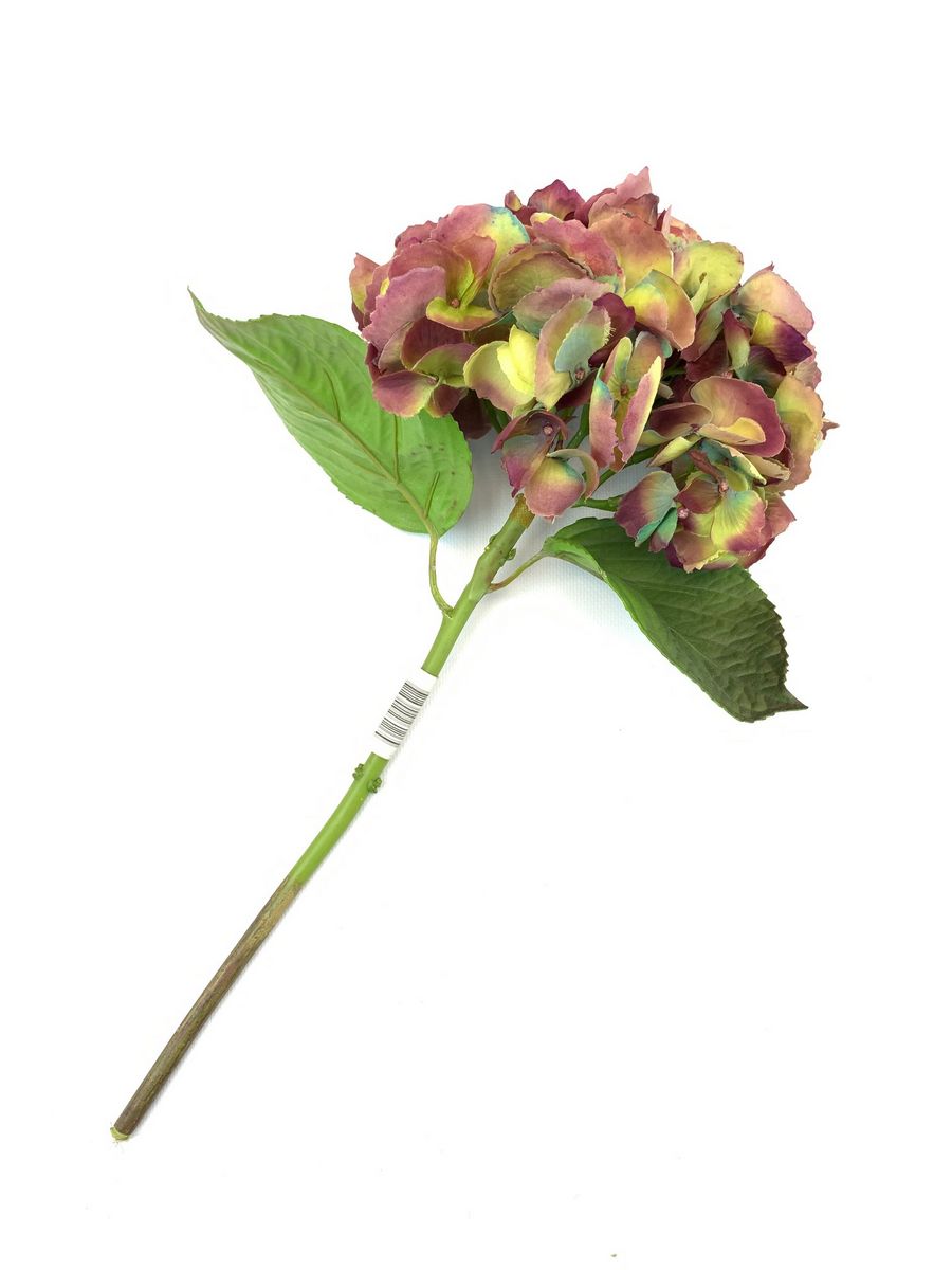 Гортензия 126126  Интернет-магазин Feron Flower 