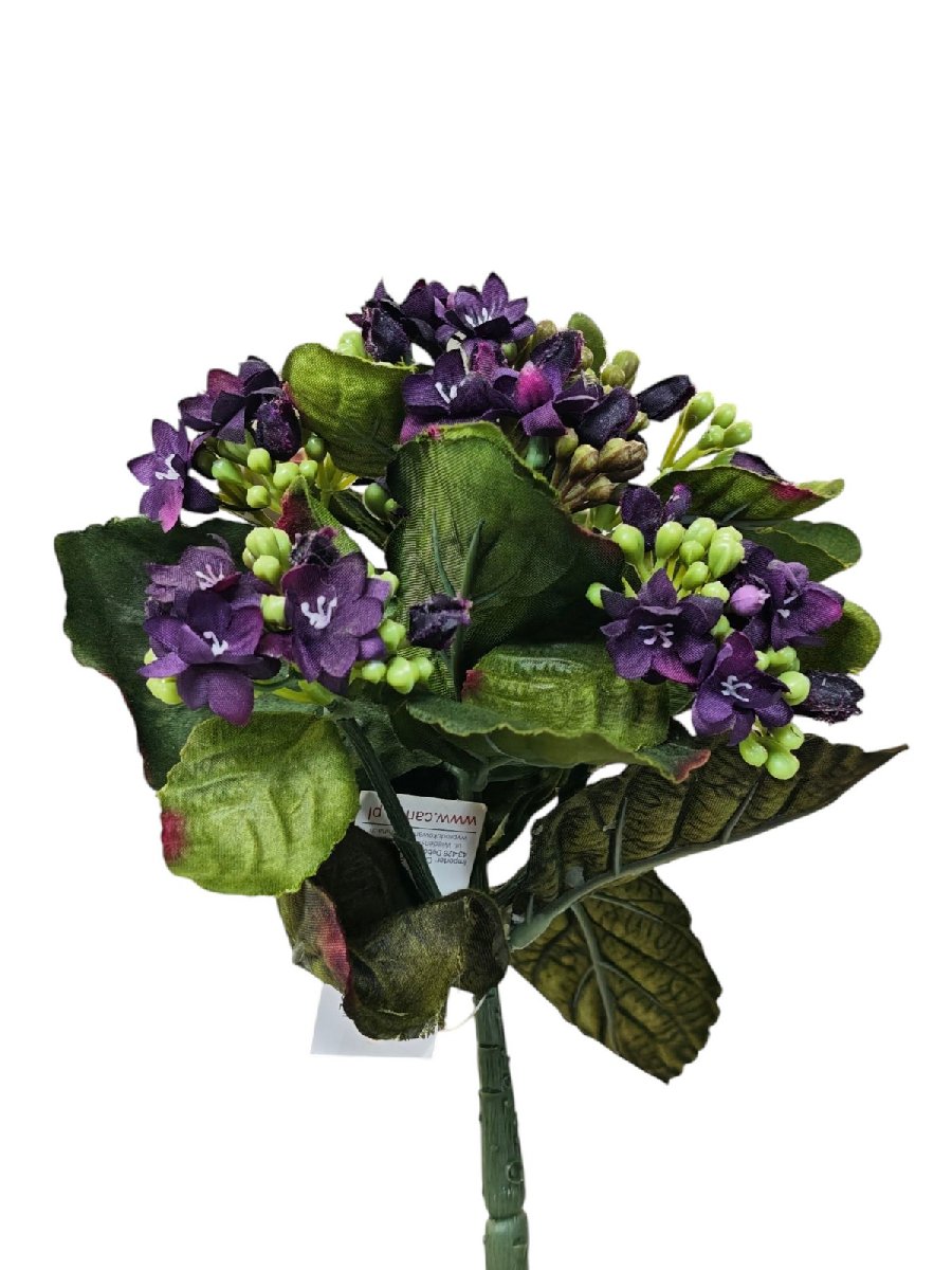 Каланхоэ 188CAN88180  Интернет-магазин Feron Flower 