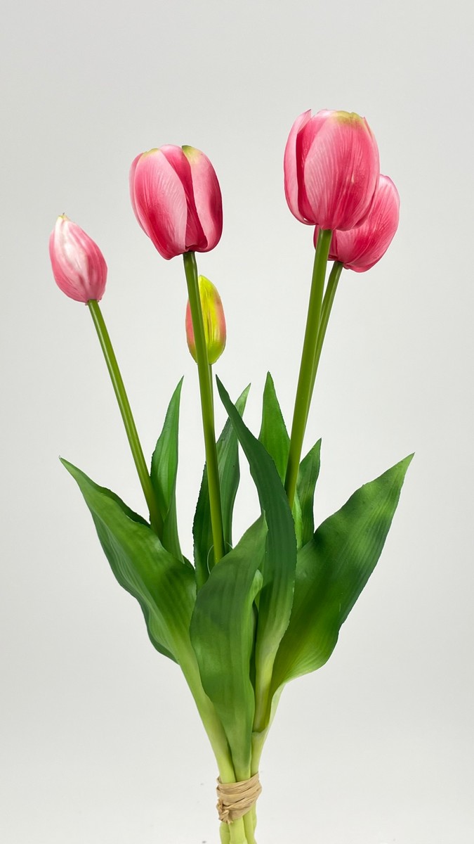 Тюльпан latex FL-QH066  Интернет-магазин Feron Flower 