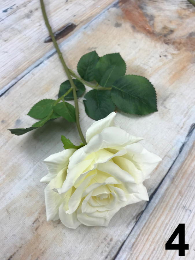 Роза GK211  Интернет-магазин Feron Flower 