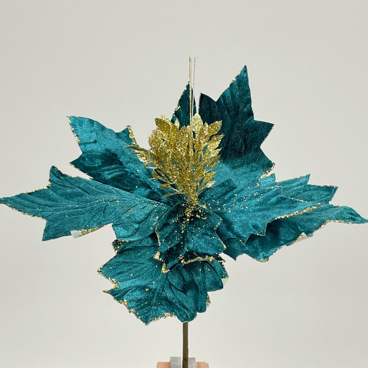 Пуансетия 22CAN20-442_02  Интернет-магазин Feron Flower 
