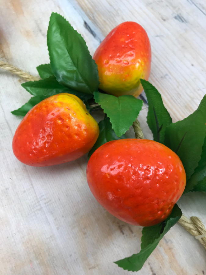 Клубника X-22  Интернет-магазин Feron Flower 