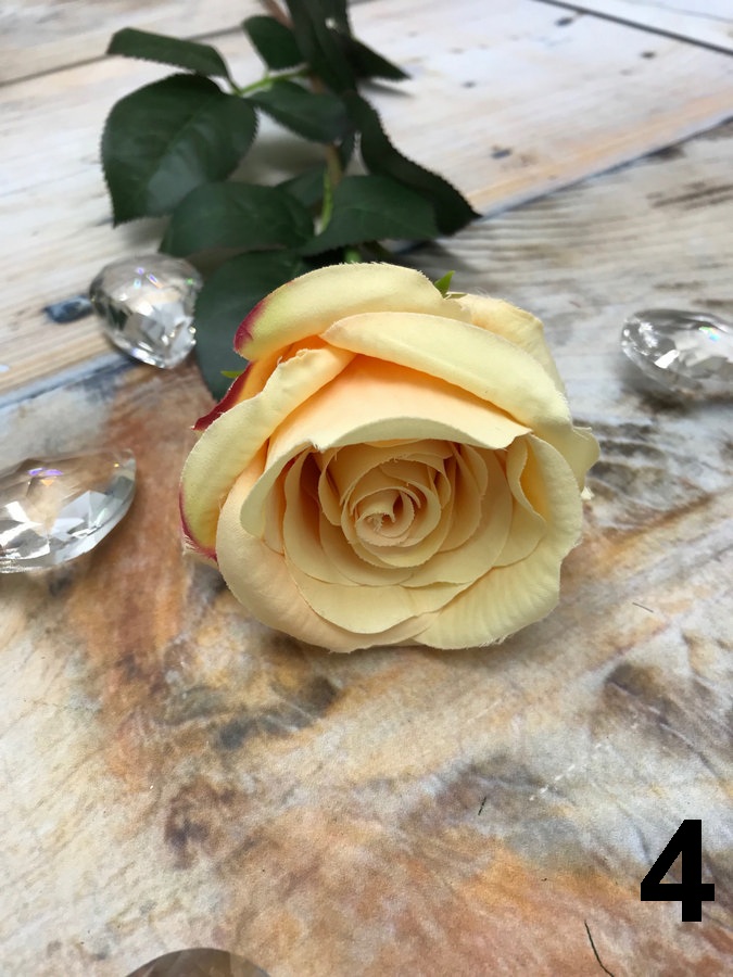 Роза SUN490  Интернет-магазин Feron Flower 