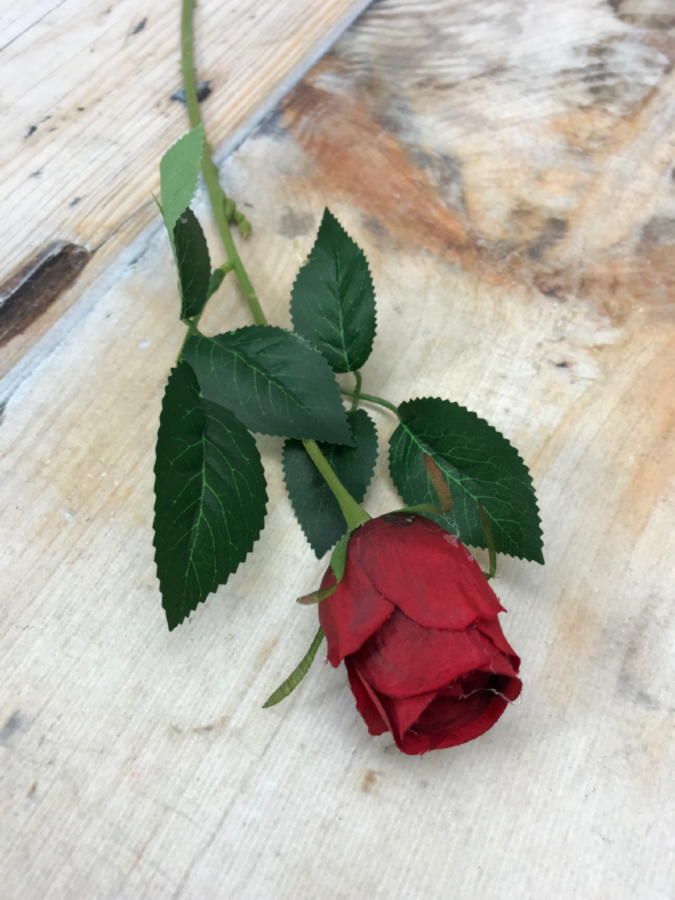 Роза MY85  Интернет-магазин Feron Flower 