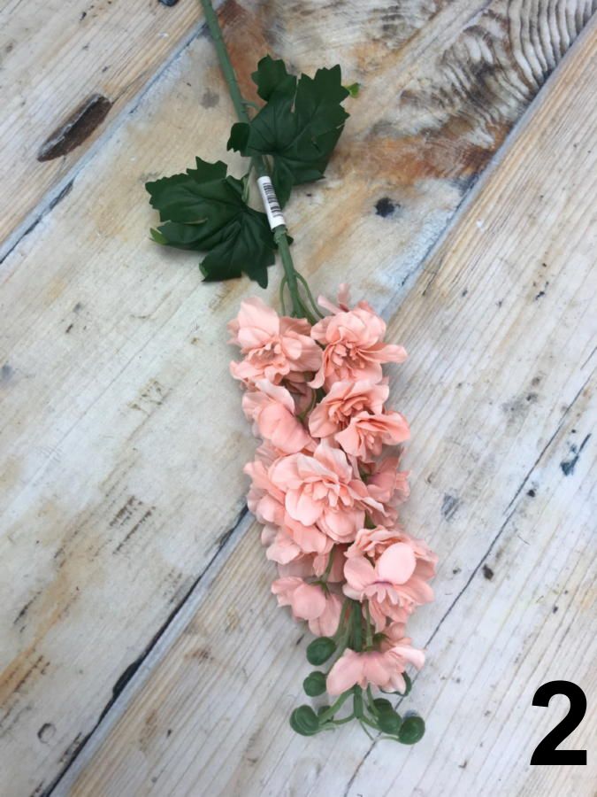 Дельфиниум TS09  Интернет-магазин Feron Flower 