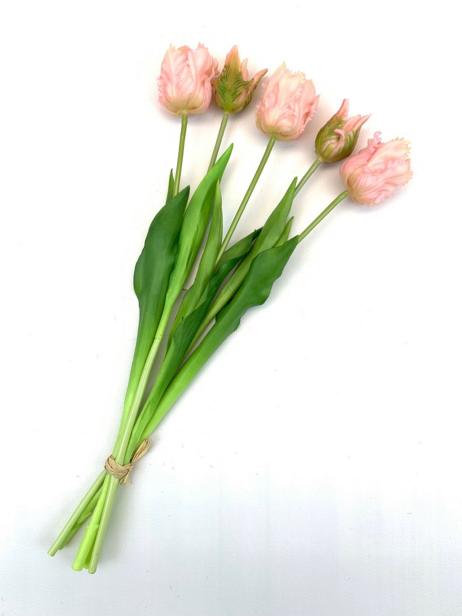Тюльпан BU04051  Интернет-магазин Feron Flower 