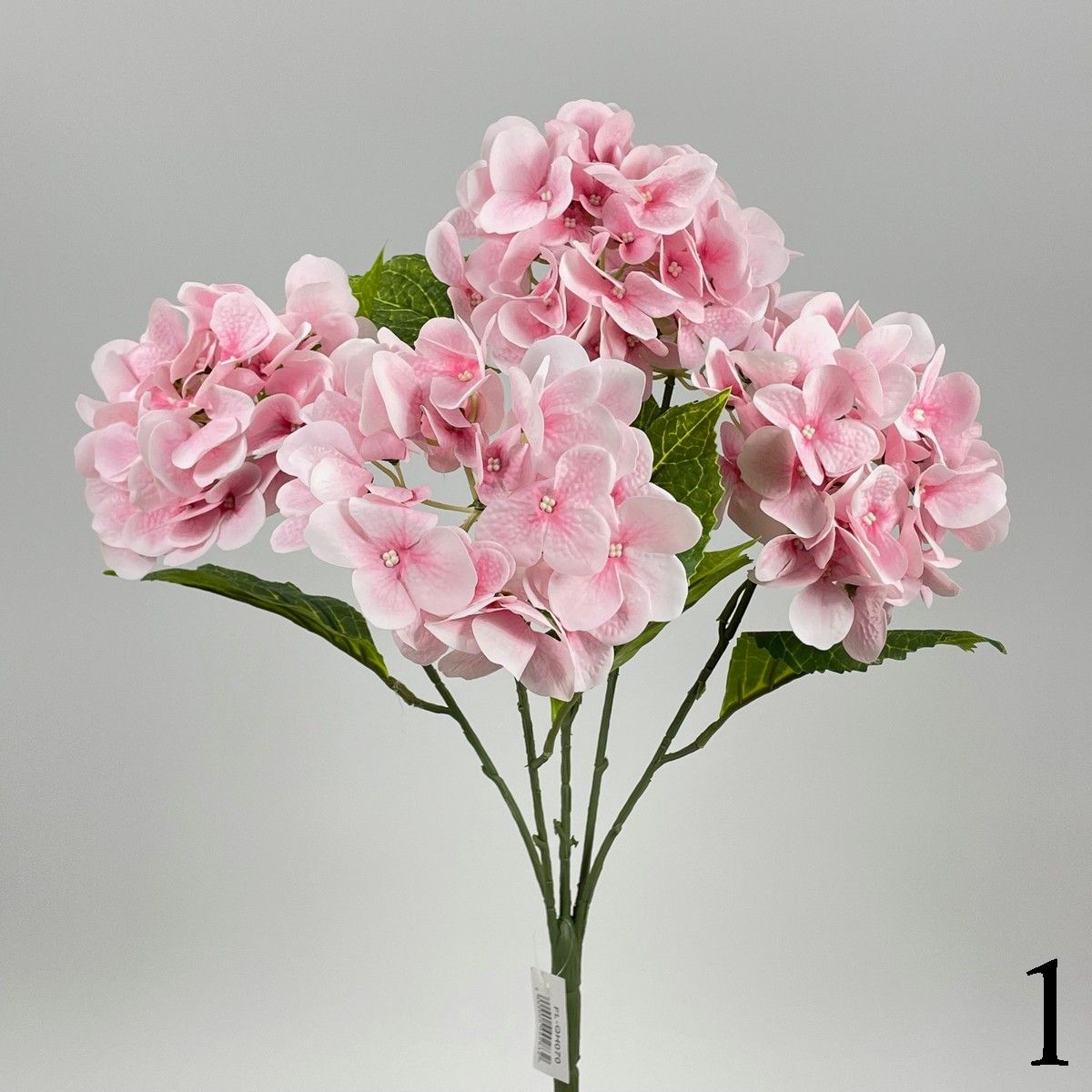 Гортензия FL-QH070  Интернет-магазин Feron Flower 