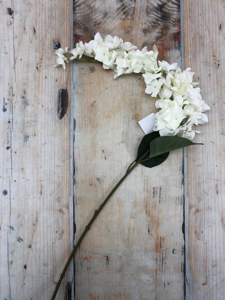 Вистерия K03996  Интернет-магазин Feron Flower 