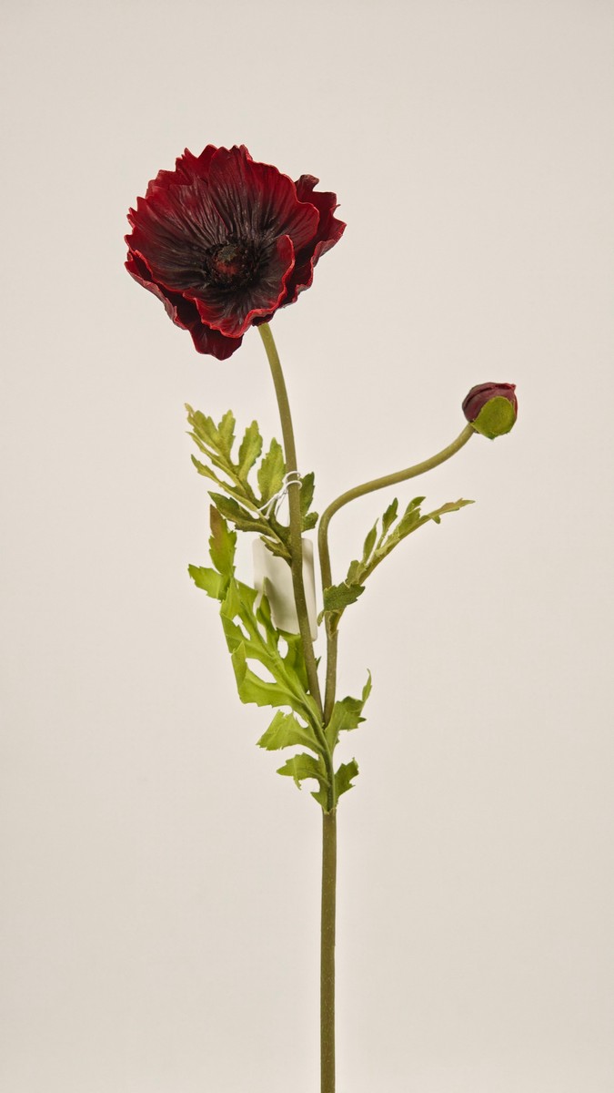 Мак REN-212 красный  Интернет-магазин Feron Flower 