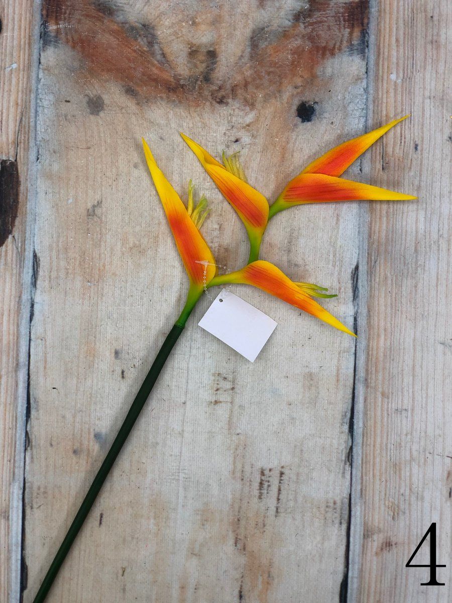 Геликония K03959  Интернет-магазин Feron Flower 