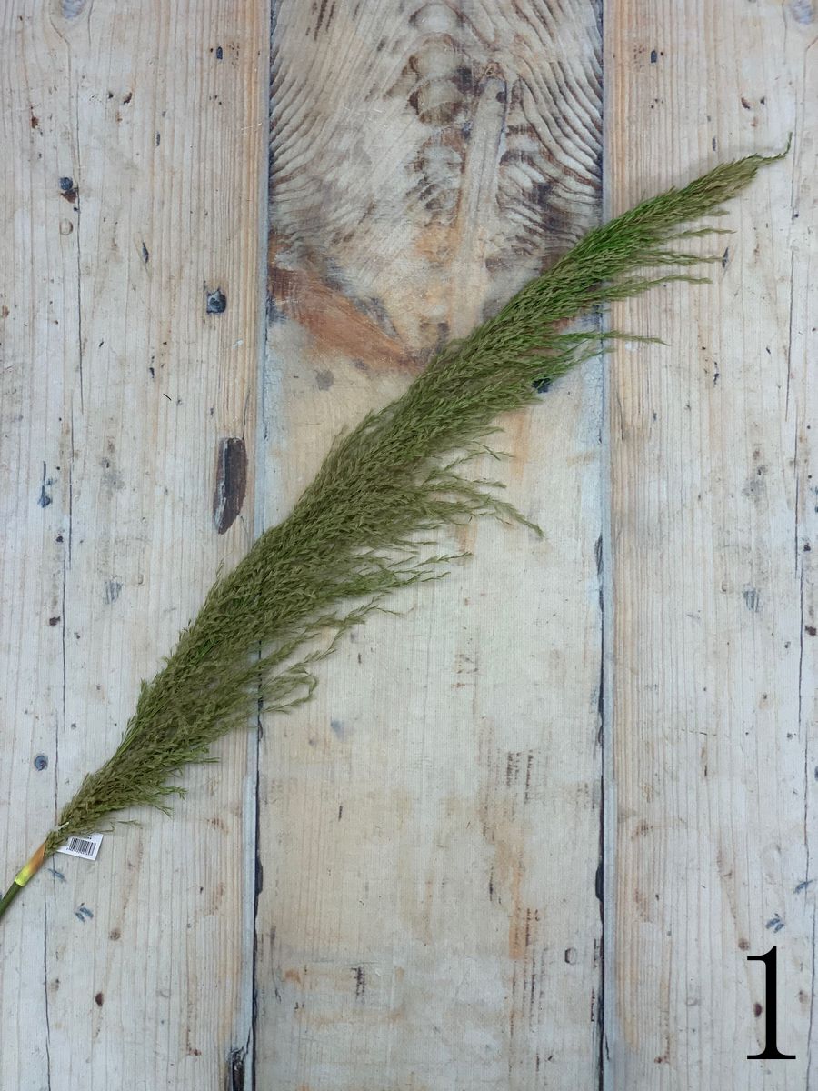 Трава пампасная JA135-QY-0065  Интернет-магазин Feron Flower 