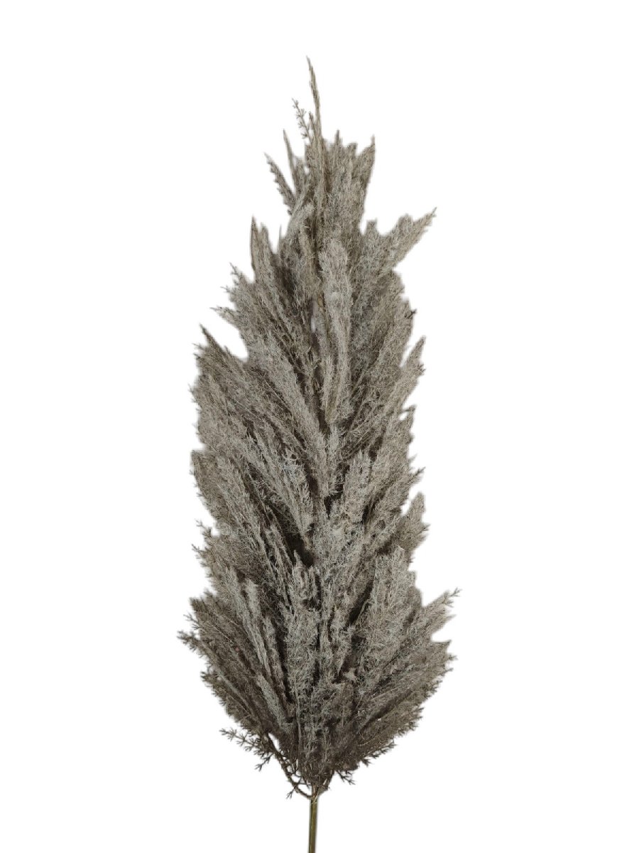 Осока 9189-1013  Интернет-магазин Feron Flower 