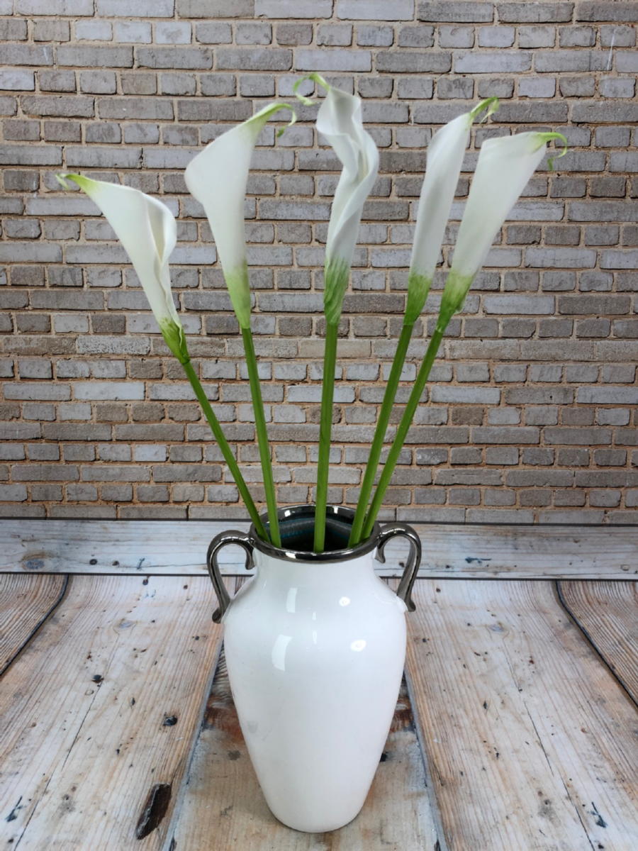 Калла K483  Интернет-магазин Feron Flower 