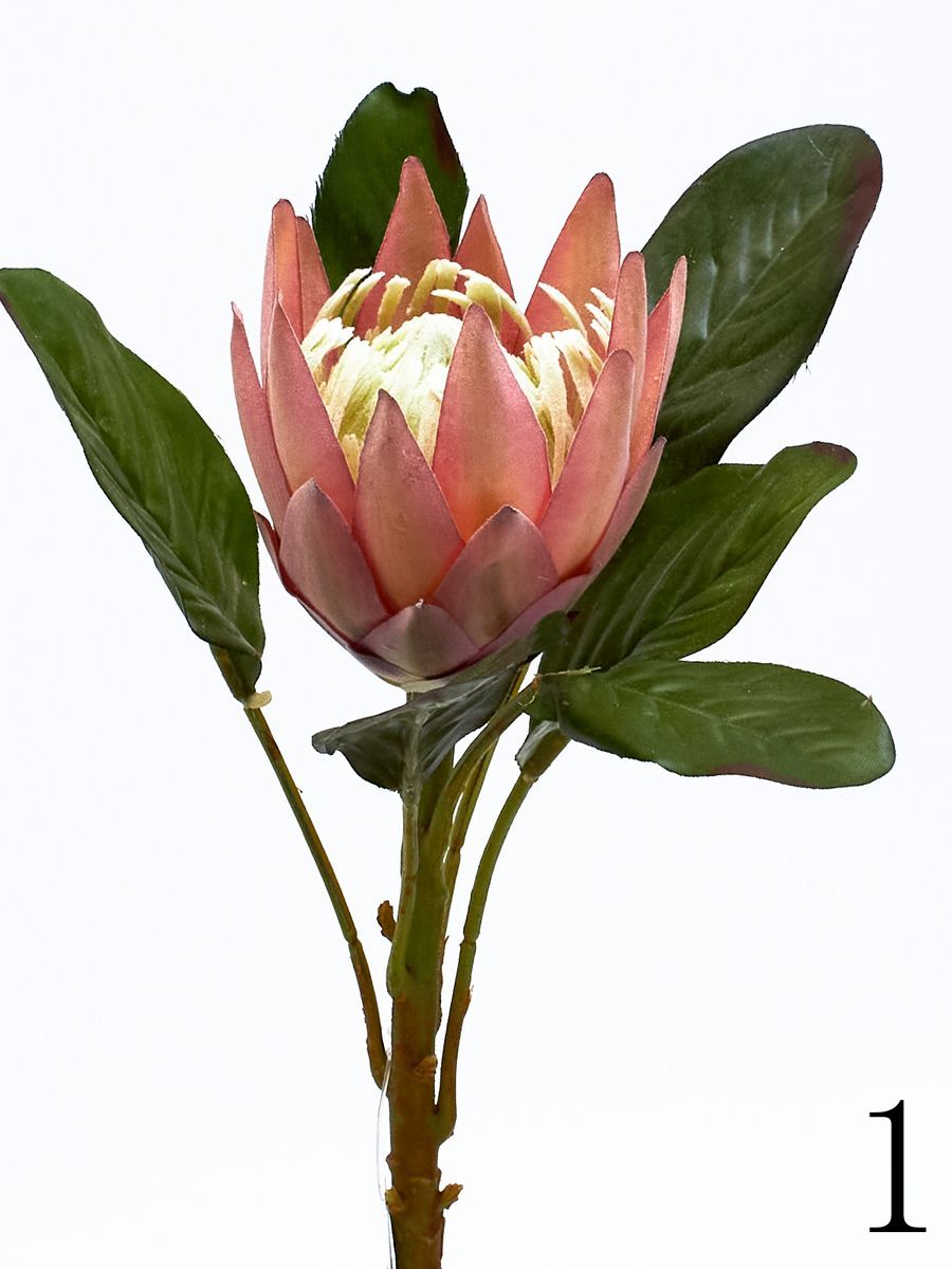 Протея K04005  Интернет-магазин Feron Flower 