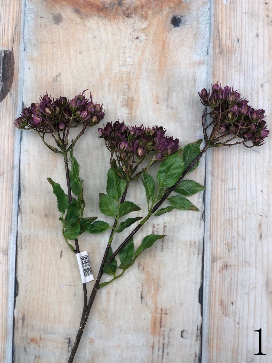 Зелень DK001  Интернет-магазин Feron Flower 