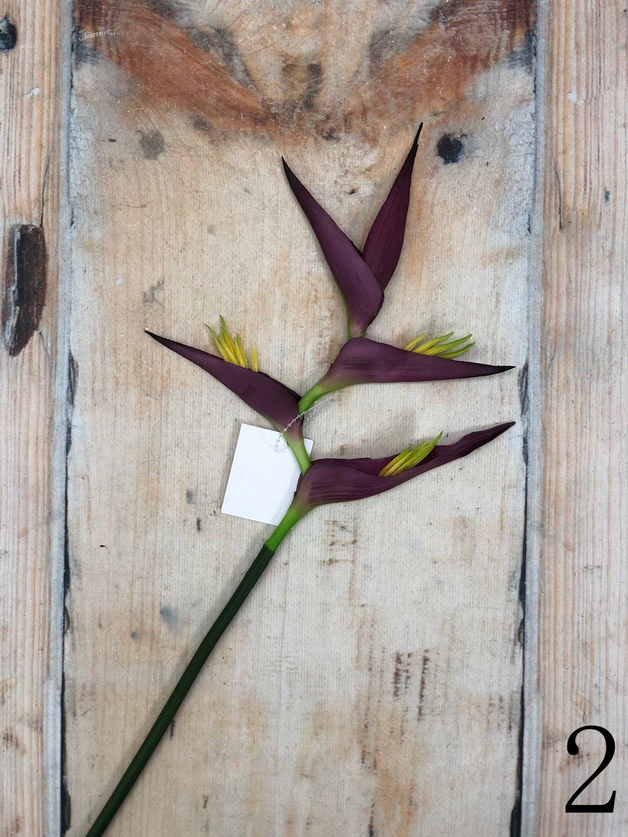 Геликония K03959  Интернет-магазин Feron Flower 