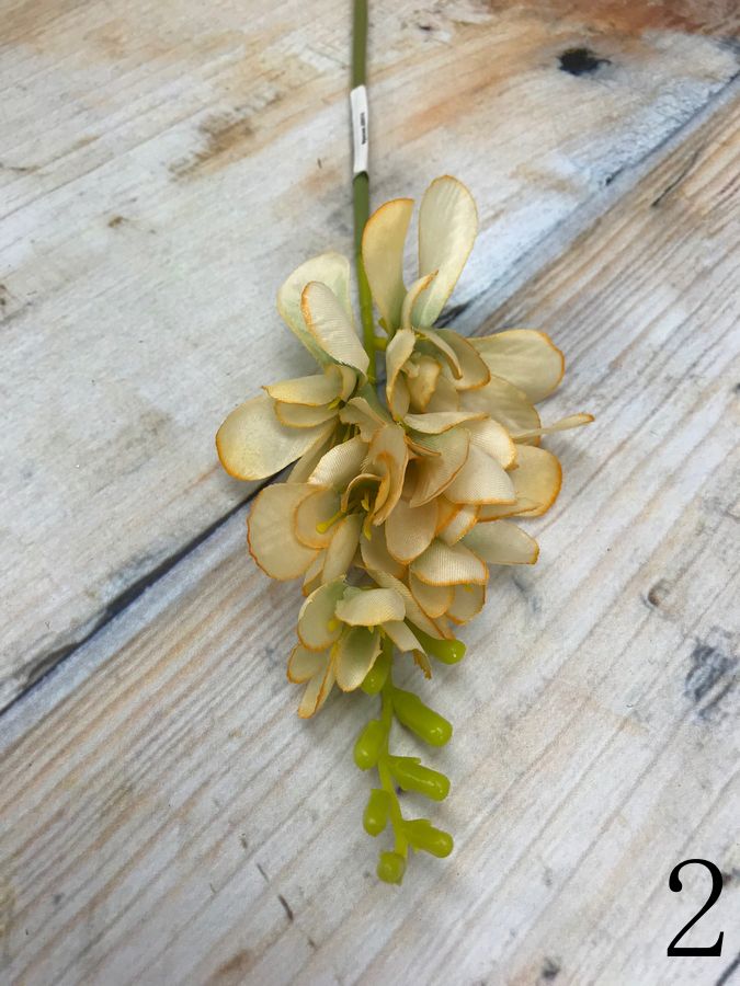 Фрезия JM014  Интернет-магазин Feron Flower 