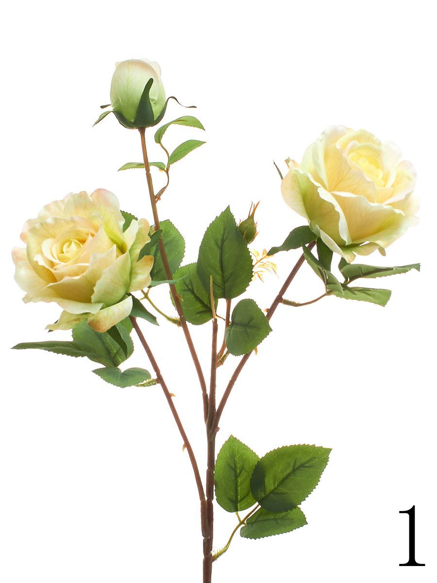 Роза HD9198  Интернет-магазин Feron Flower 
