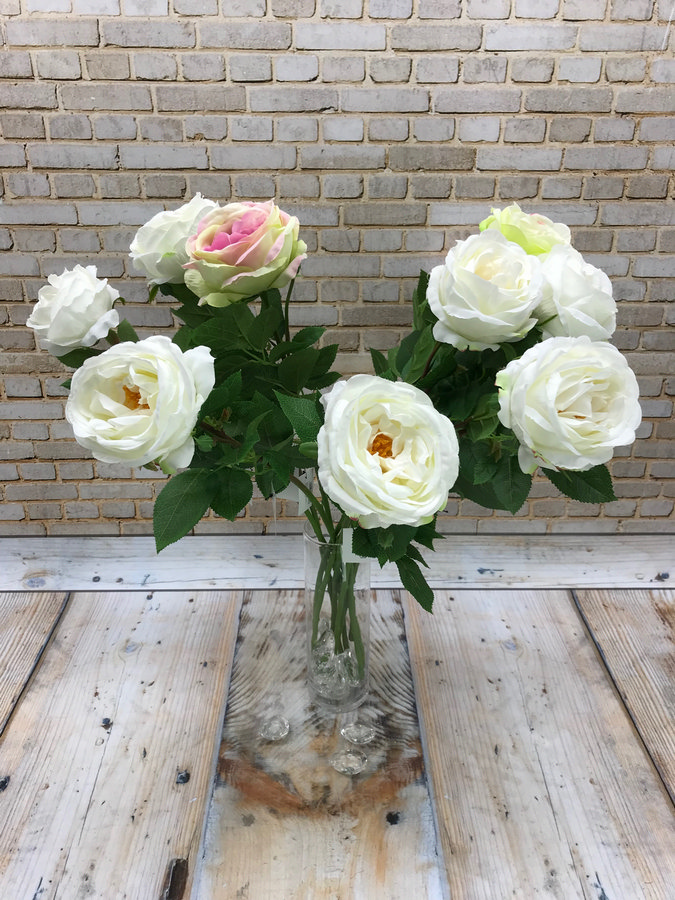 Роза SUN520  Интернет-магазин Feron Flower 