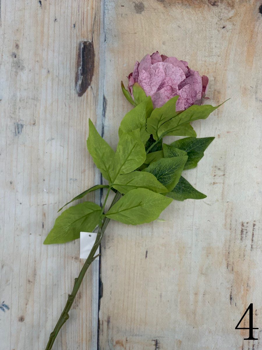 Пион VIP2135  Интернет-магазин Feron Flower 