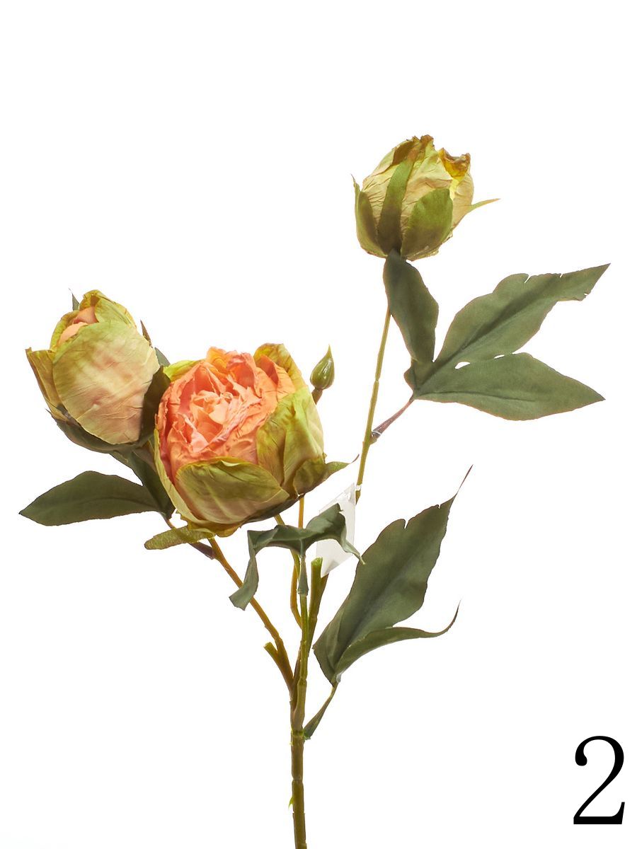Роза K04133   Интернет-магазин Feron Flower 