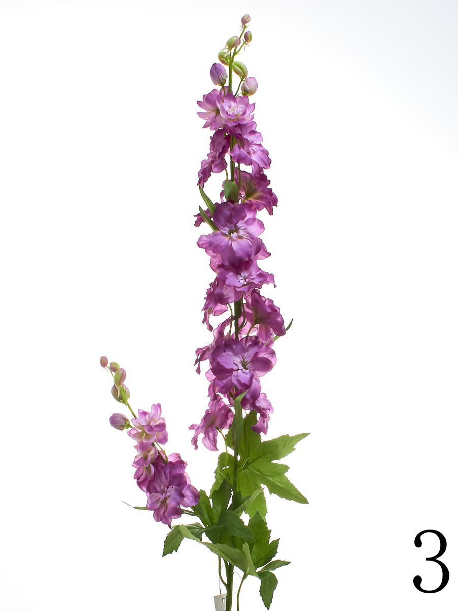 Дельфиниум SUN012  Интернет-магазин Feron Flower 