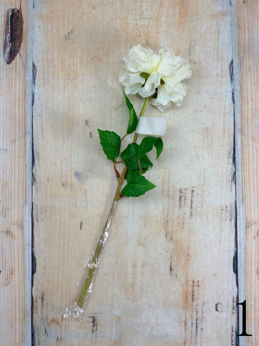 Далия 54467  Интернет-магазин Feron Flower 