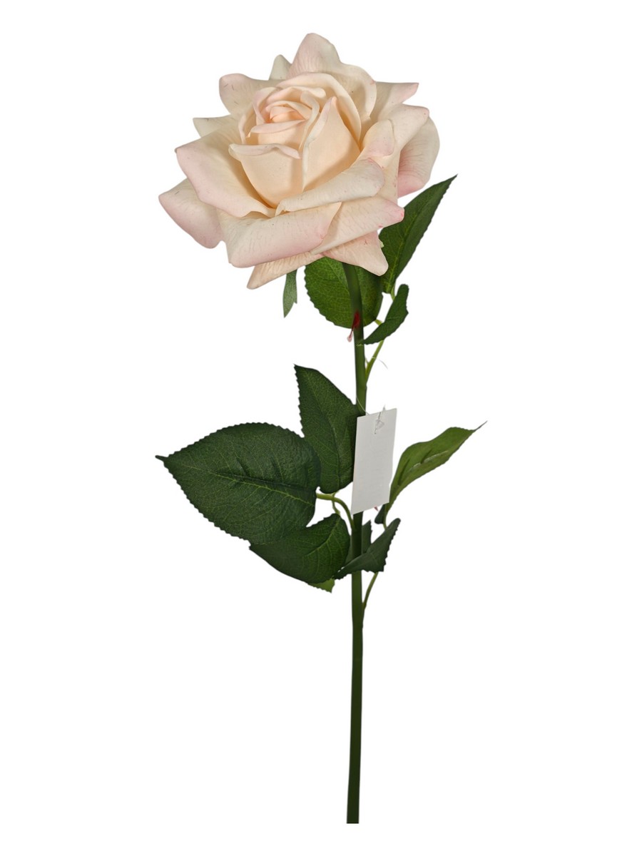 Роза FL-QH128  Интернет-магазин Feron Flower 